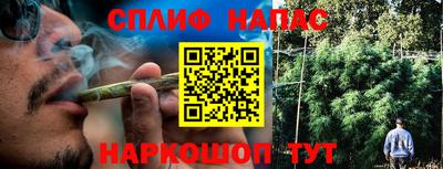 ешки Тула