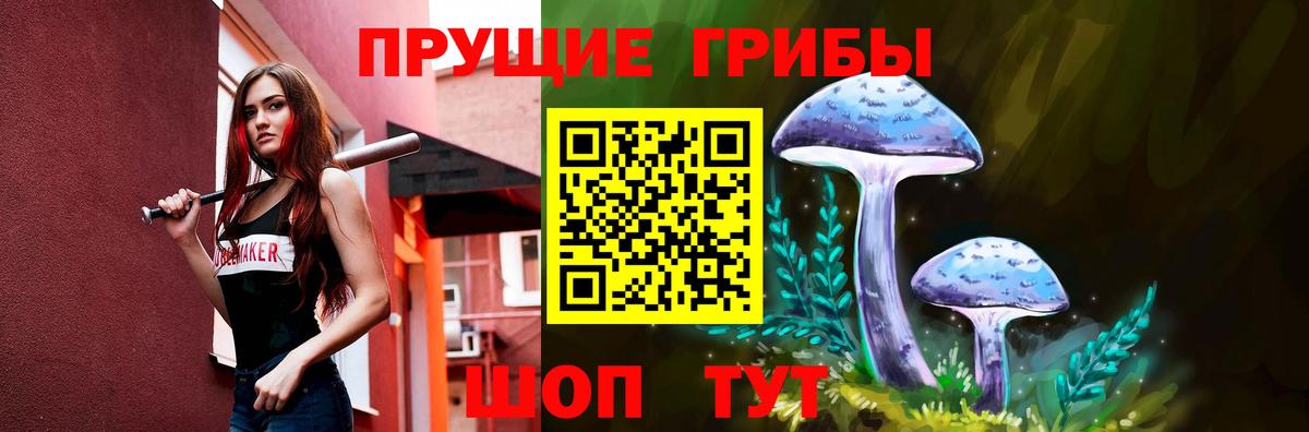 Псилоцибиновые грибы Psilocybe  Вход с VPN  Мытищи 